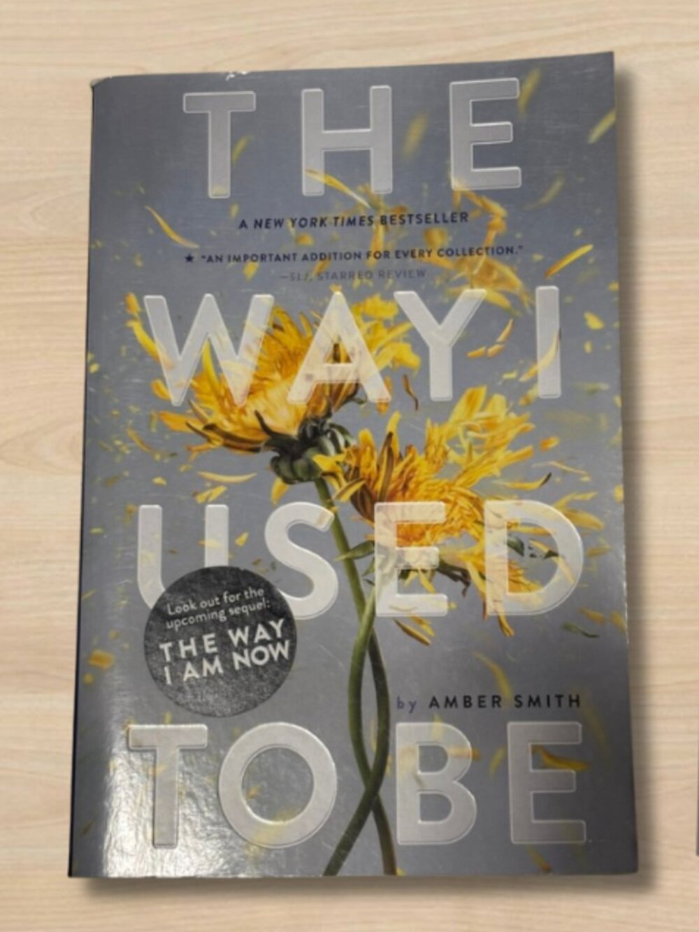 The Way I Used to Be by Amber Smith – Paperback Novel